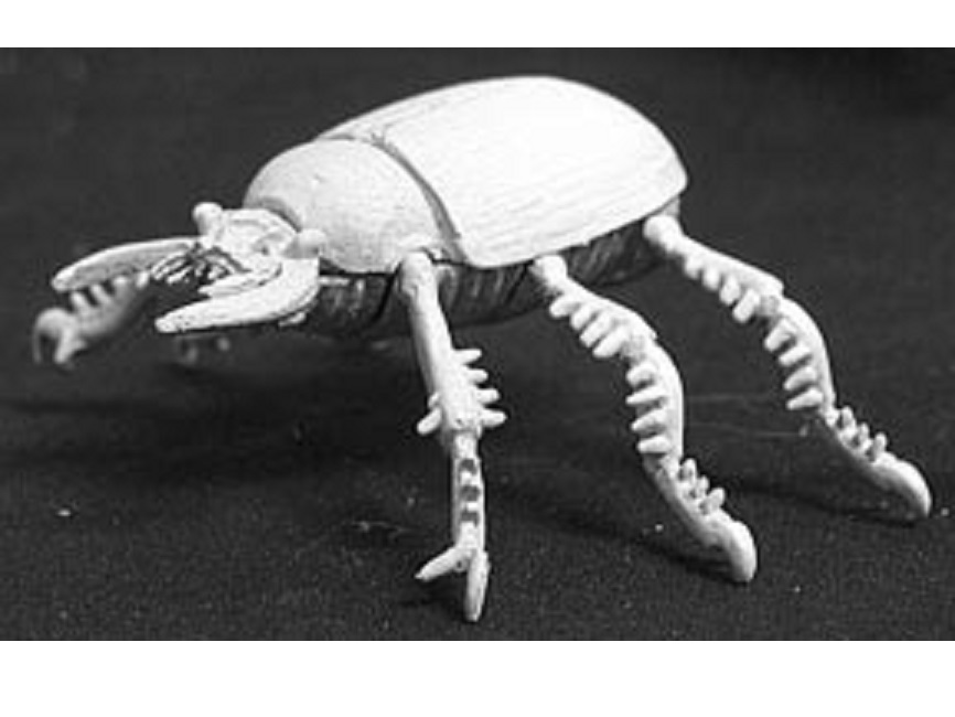 Giant Scarab Beetle