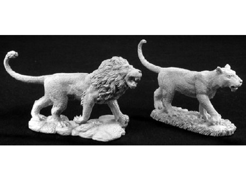 Male and Female Lion