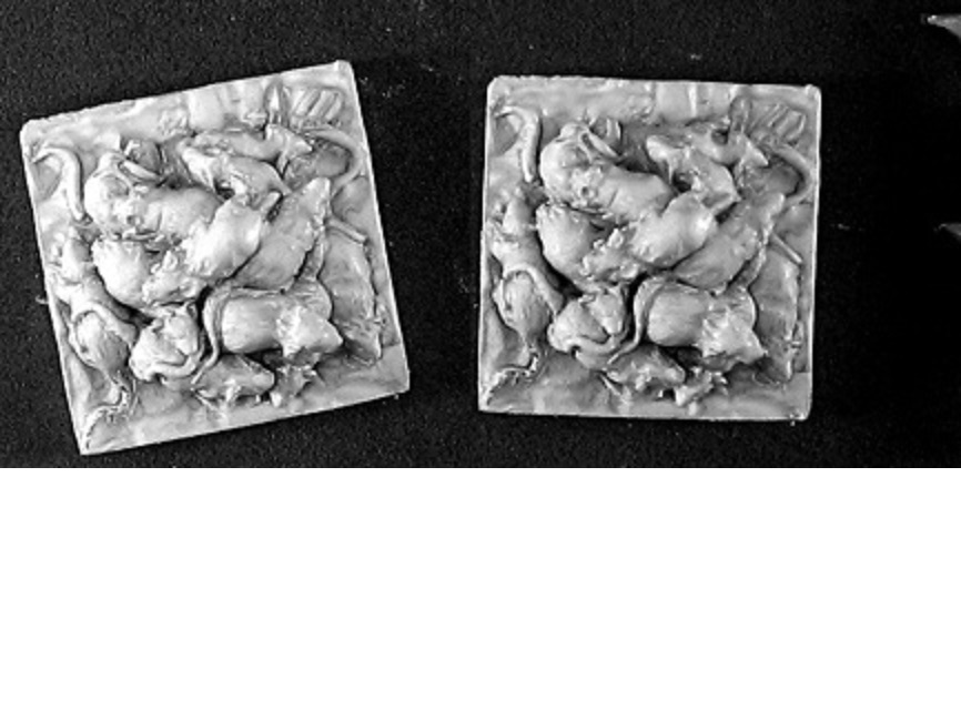 Rat Swarm (2)