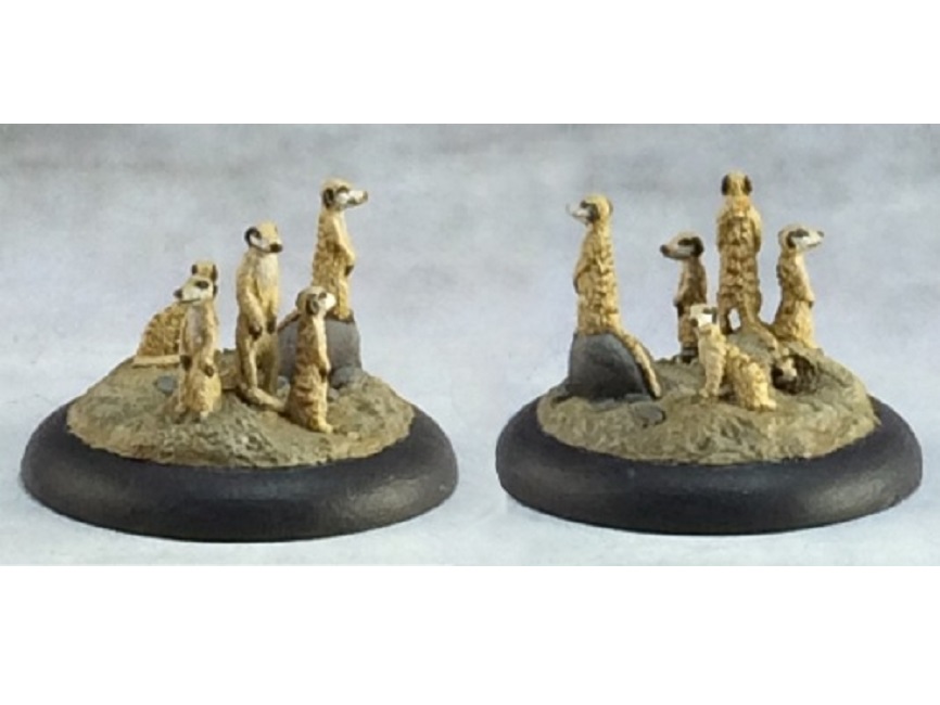Meerkat Familiars