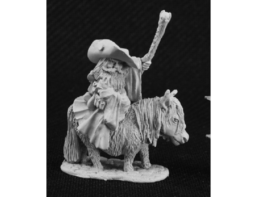 Dwarf Battlemage on Pony