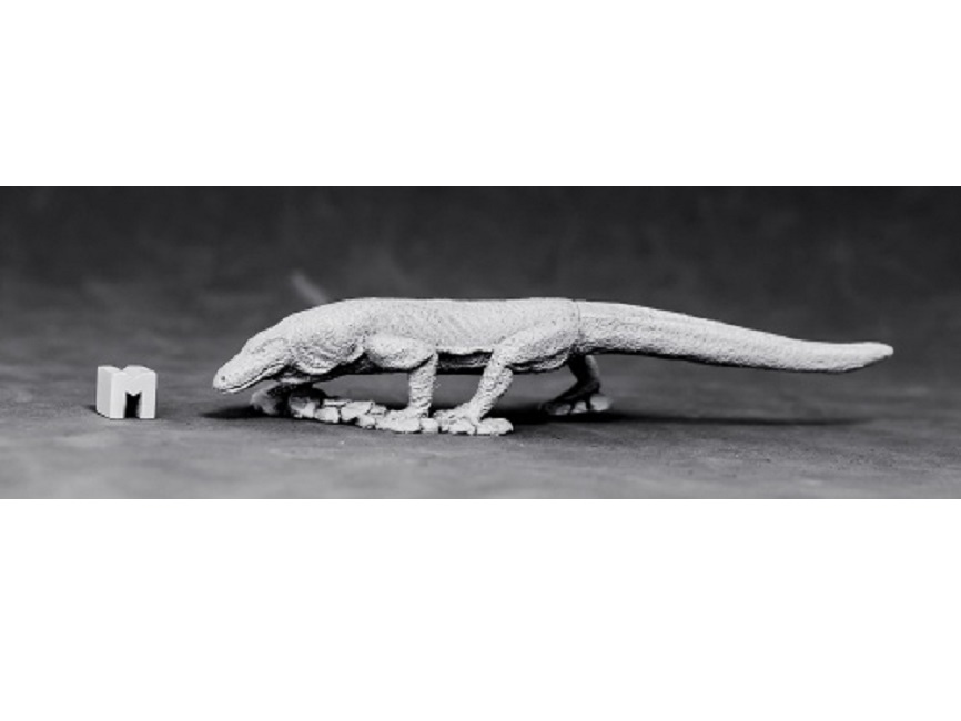 Komodo Dragon
