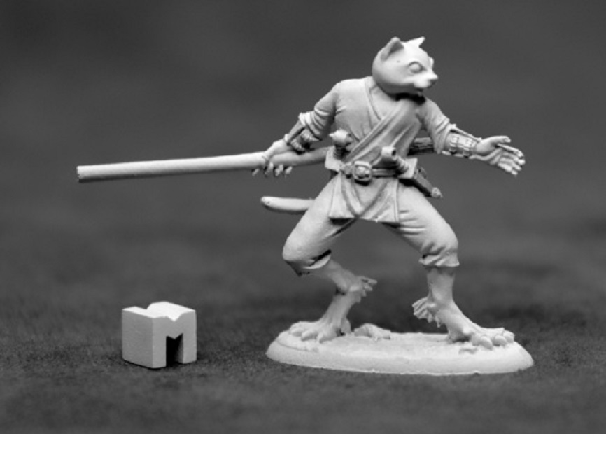 Swiftpaw Catfolk Monk