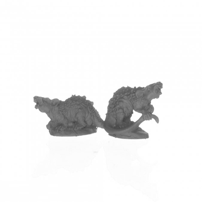Giant Tomb Rats (2)