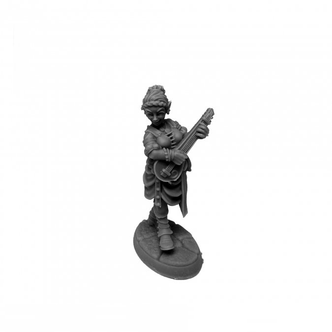 Ryelle Rainheather, Elf Bard