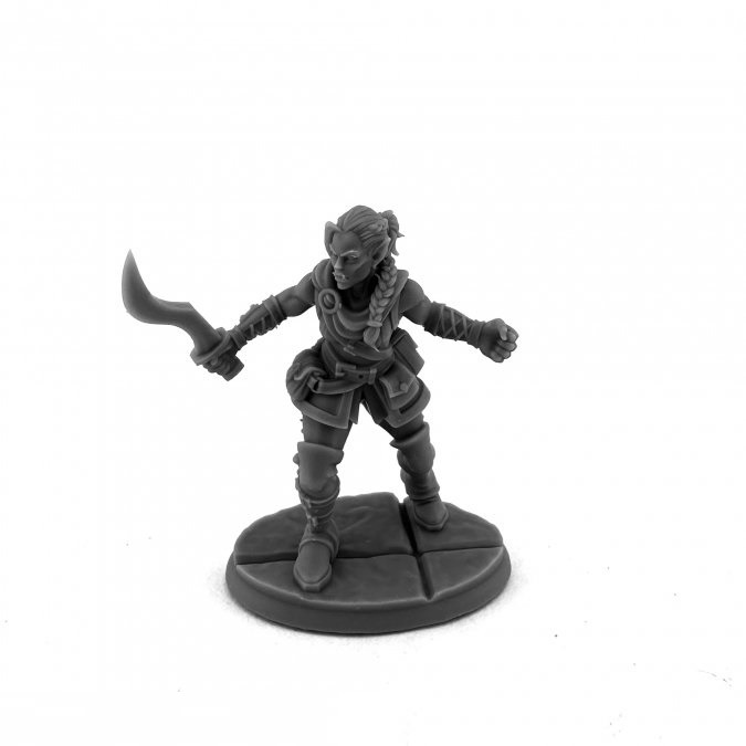 Emrul Gozgul, Half Orc Rogue