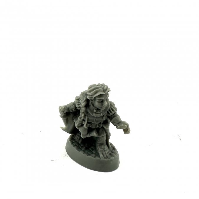 1 x DASCHELLE Rogue - Reaper Bones Miniatura per Gioco di Ruolo