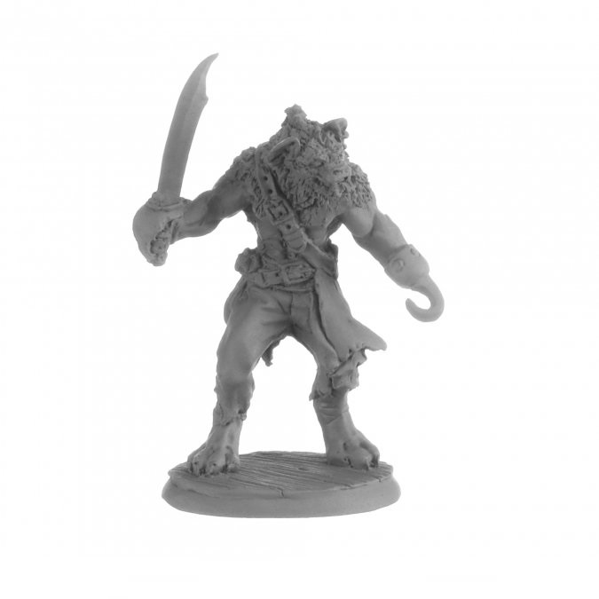 Hakkle Blackhook, Gnoll Pirate