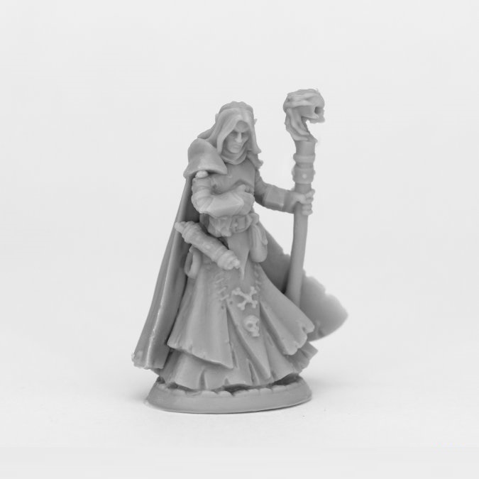 Dark Elf Wizard