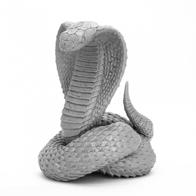 King Cobra