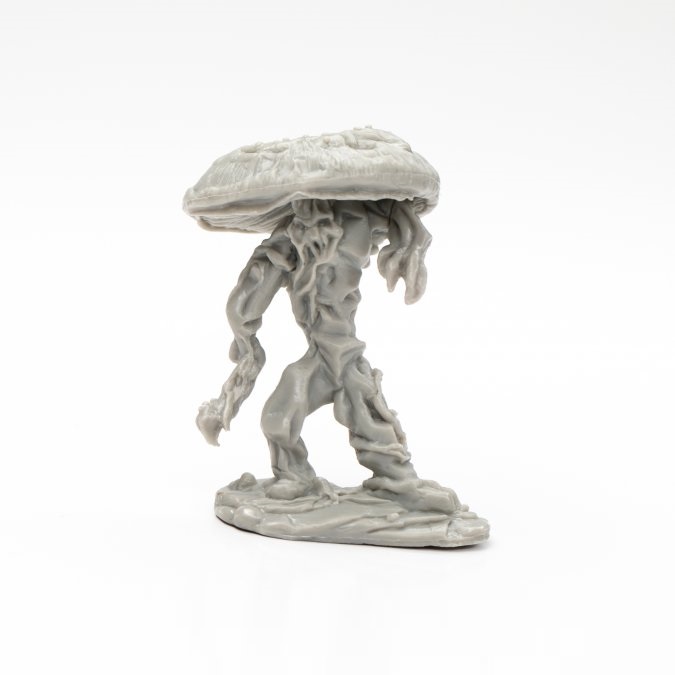 Fungal Guardian