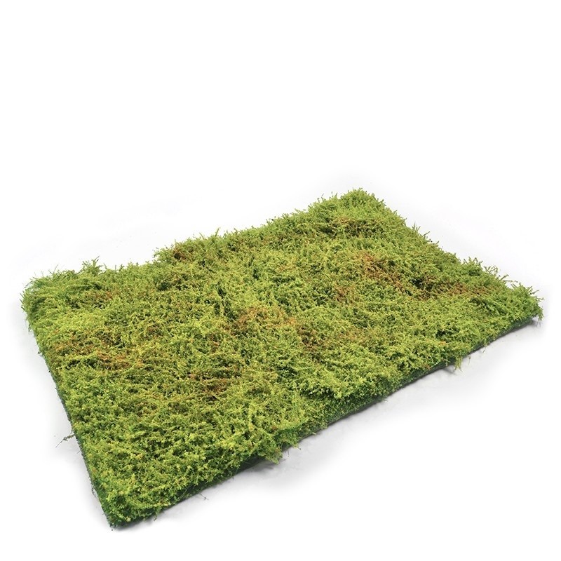 Mig Wilderness Fields with Bushes - Spring