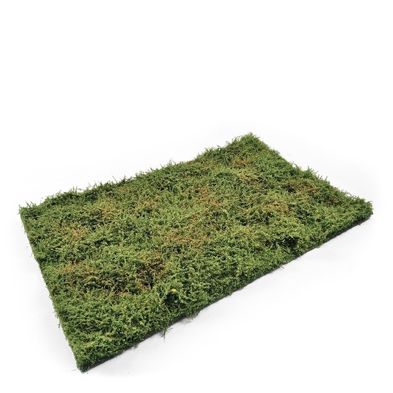 Mig Wilderness Fields with Bushes - Early Summer