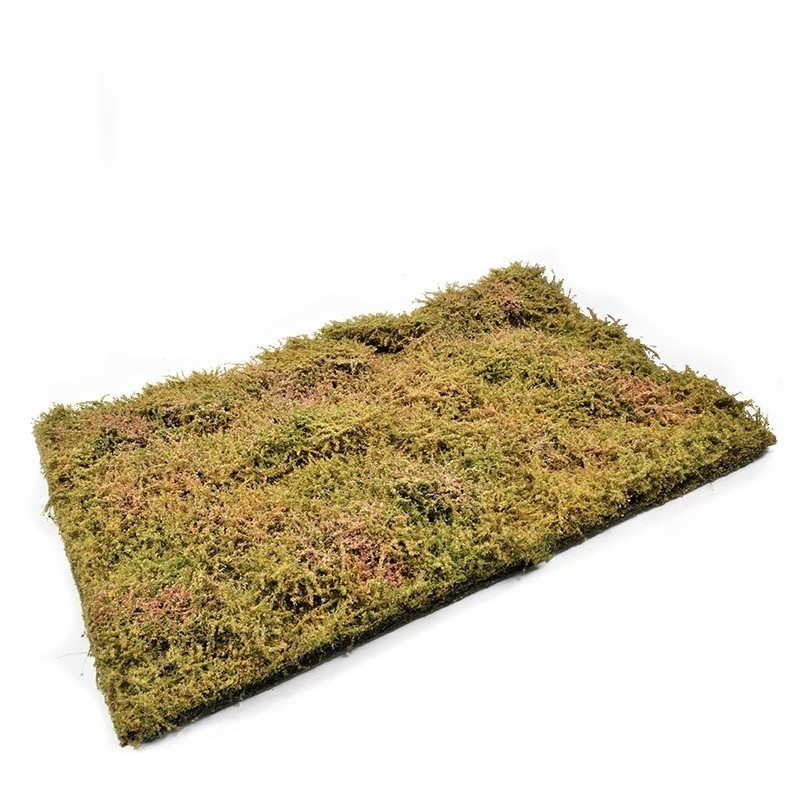 Mig Wilderness Fields with Bushes - Late Summer