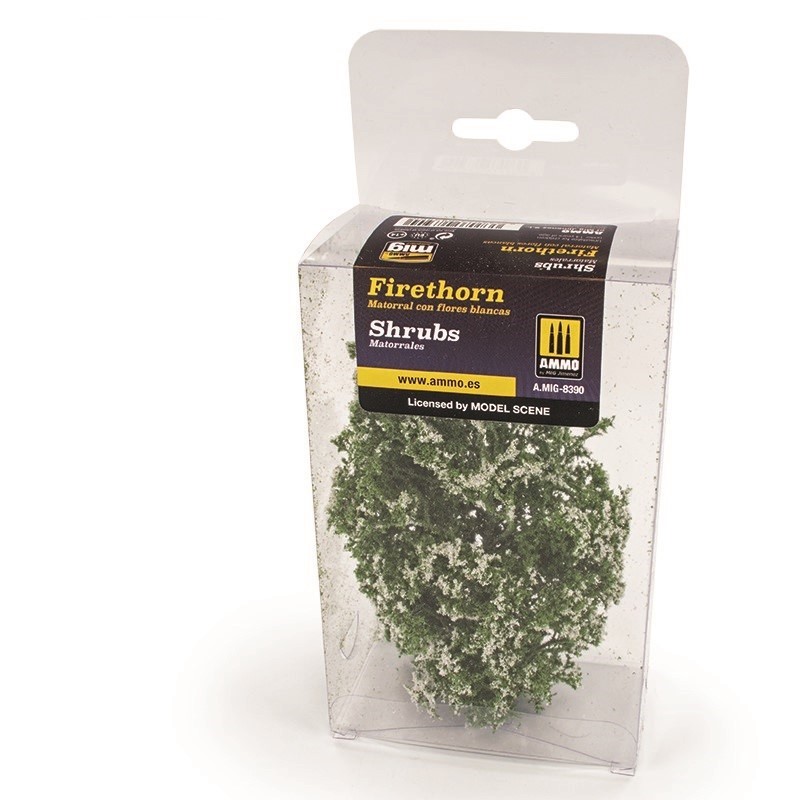 Mig Shrubs - Firethorn